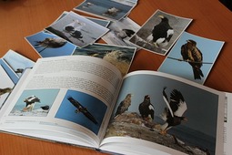 Фото книги "Птицы островного края"