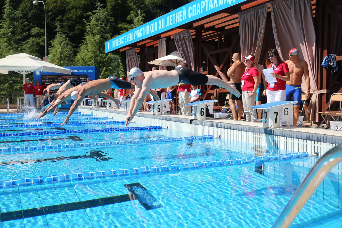 Соревнования по плаванию среди взрослых.