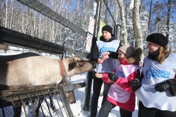 Работники Сахалинского ЛПУМТ подкармливают подопечных в местном зоопарке.