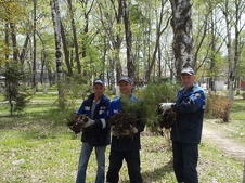 Работники Приморского  ЛПУМГ высадили хвойные деревья в парке г. Дальнереченска