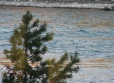 Газовики на защите сибирских рек
