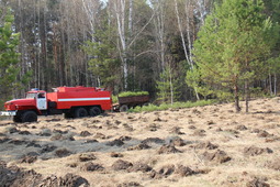 Газовики высадили сеянцы сосны на территории Бобровского лесничества