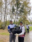 Ранняя осень наиболее благоприятна для пересадки кедров