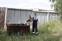 Работники Новосибирского ЛПУМГ очистил прилегающую к промышленной площадке лесную зону площадью в 1 кв.км., убрав 300 кг. мусора.