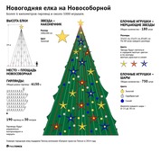 Инфографика РИА "Томск"