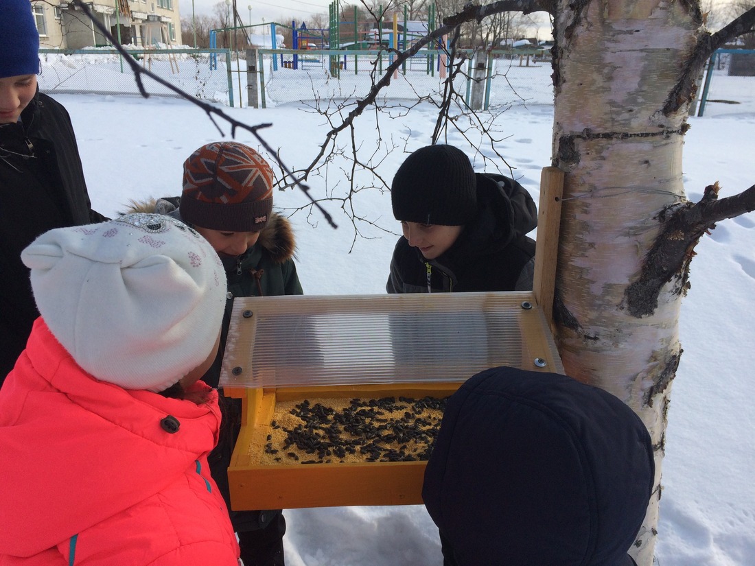 Школьники села Советское заполняют кормом новую кормушку.