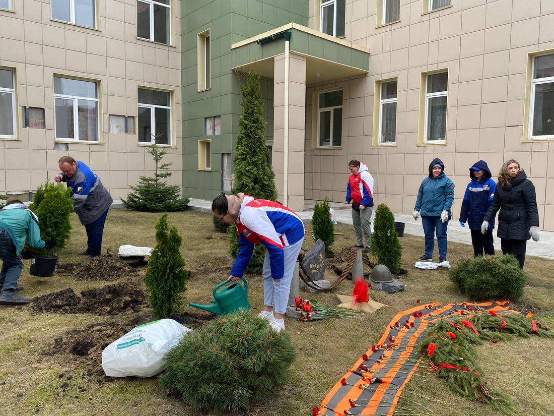 В новосибирском детском саду «Фея» зазеленели туи