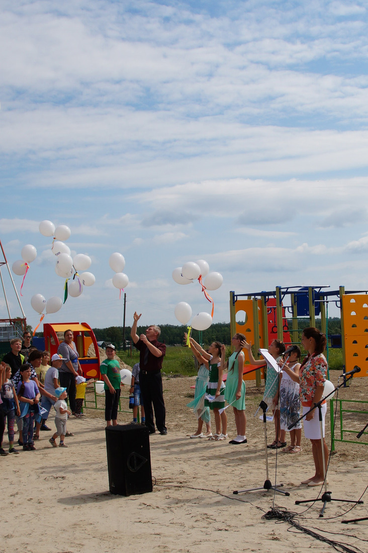 В 2017 году в селах Каргасокского района установлено 5 детских игровых площадок Напас