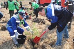 В Алтайском крае в рамках акции «Лес Победы» в этом году высадили более 50 тысяч деревьев
