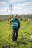 Высадка деревьев работниками УМТСиК г. Томск