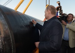 Владимир Путин. Фото РИА «Новости»