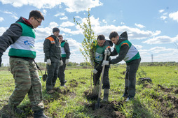 Экологический субботник «Зеленая Весна», посадка деревьев на берегу реки Томь г.Томск.