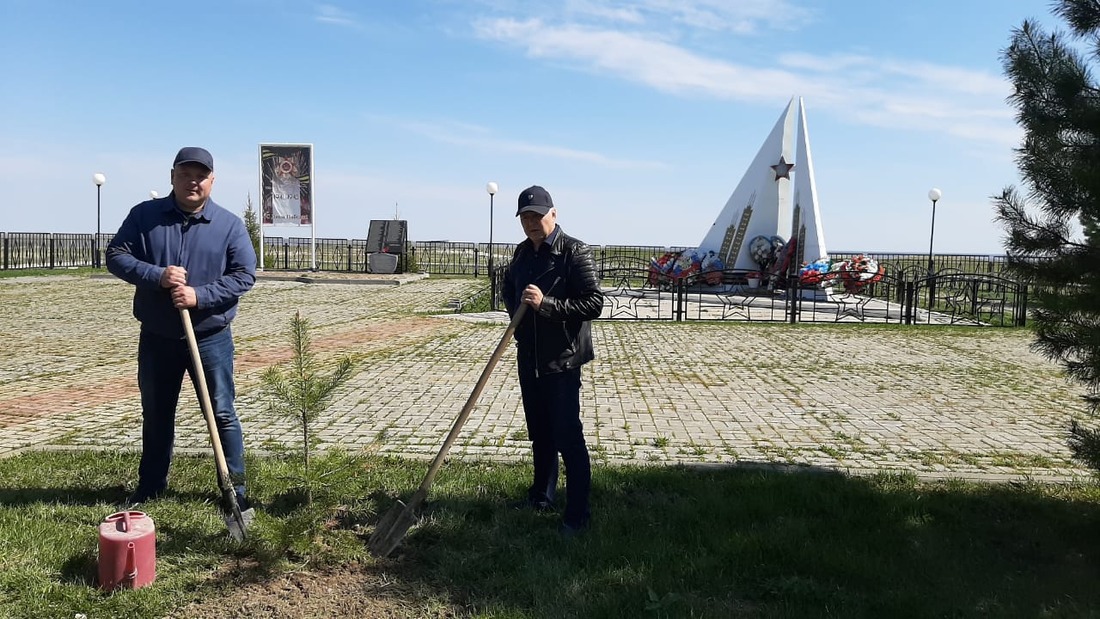 Посадка Аллеи памяти в селе Вертикос Томской области