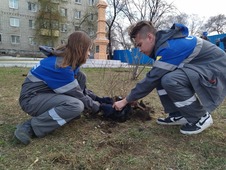 Акцию «Сад памяти» провели в преддверии Дня Победы сразу несколько филиалов. Другие подразделения высадят деревья в память о героях войны в мае-июне