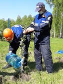 Каждый газовик может посадить на аллее дерево в честь своего родственника