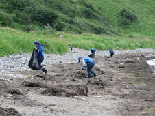 Для залива Чихачёва характерны полусуточные приливы, поэтому вода выносит мусор на берег несколько раз в день.