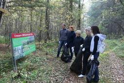 Ипатовский кедровник, в селе Лучаново Томской области, стал местом проведения экологической акции «Зелёная Россия».