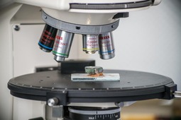 Электронный микроскоп позволяет разглядеть мельчайшие детали