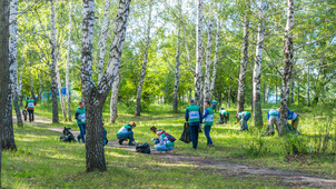 На территории возле новой рощи было собрано 600 кг бытового мусора