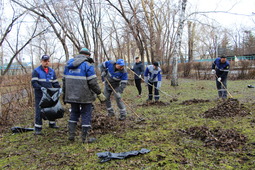 Филиал ежегодно оказывает помощь в уборке парка